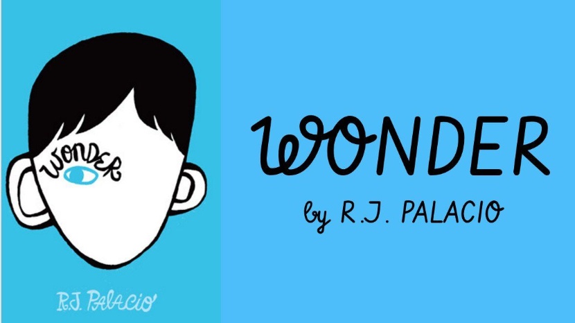 Wonder by R. J. Palacio Vocabulary
