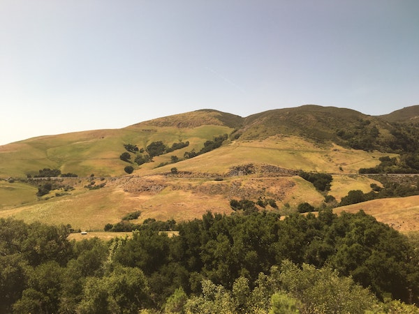 The Hill We Climb - transcript